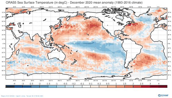 ORAS5 global ocean reanalysis monthly data from 1958 to present