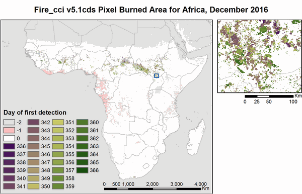 Fire burned area from 2001 to present derived from satellite observations