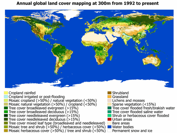 Land cover classification gridded maps from 1992 to present derived from satellite observations